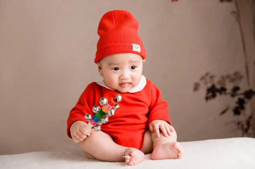 邵阳宝宝是从哪里来的 邵阳宝宝是从哪里来的